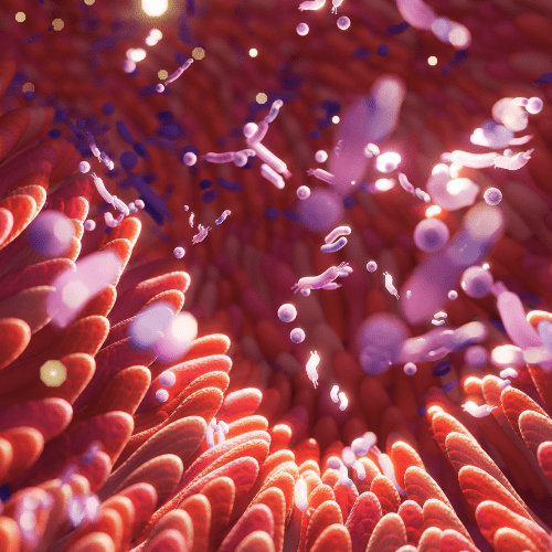 Gut Microbiome Dysbiosis: Can Light Therapy (PBMT) Help? - Lumaflex